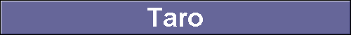  Taro 